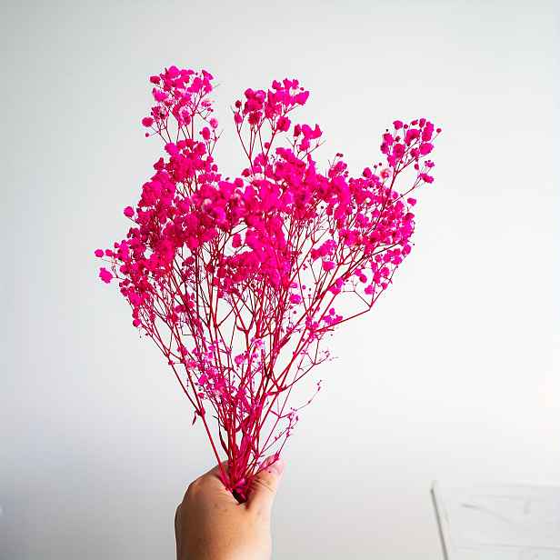 TEMU 2388+ Růžově-červená (cca 30G) Umělá Gypsophila Narozeniny, Řemesla, Boho Styl, Domácí Dekorace, Kuchyně, Obývací pokoj, Váza, Stolní a Party