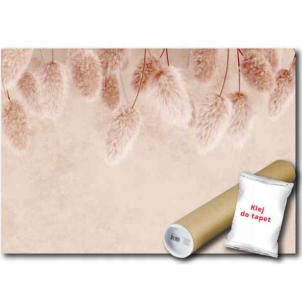 Vinylová fototapeta Tráva Boho Bazie 152x104