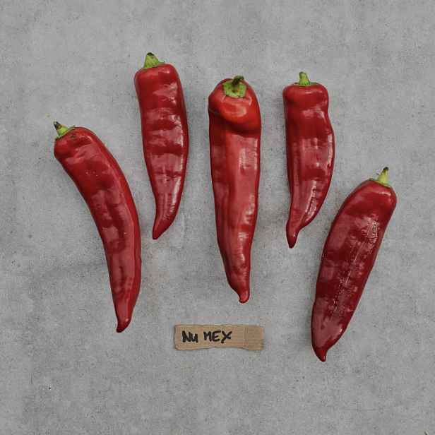 Culina Botanica Paprika NUMEX Big Jim