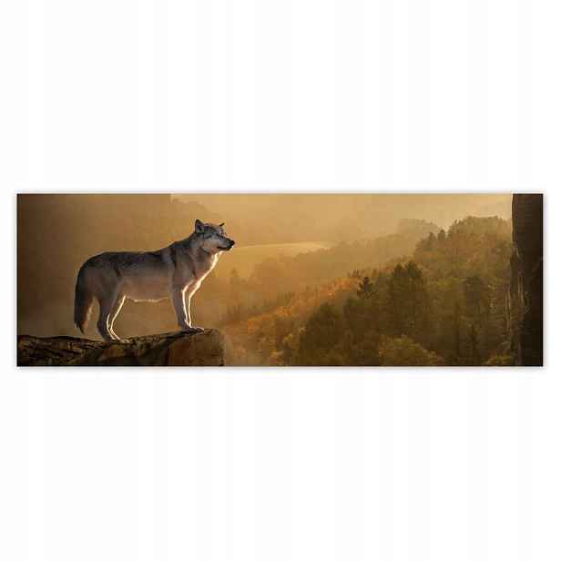 Plakáty 200x66 Vlk na svahu