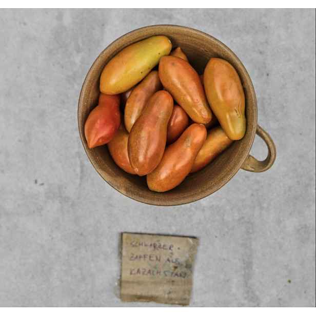 Culina Botanica Rajče Černé šišaté z Kazachstánu
