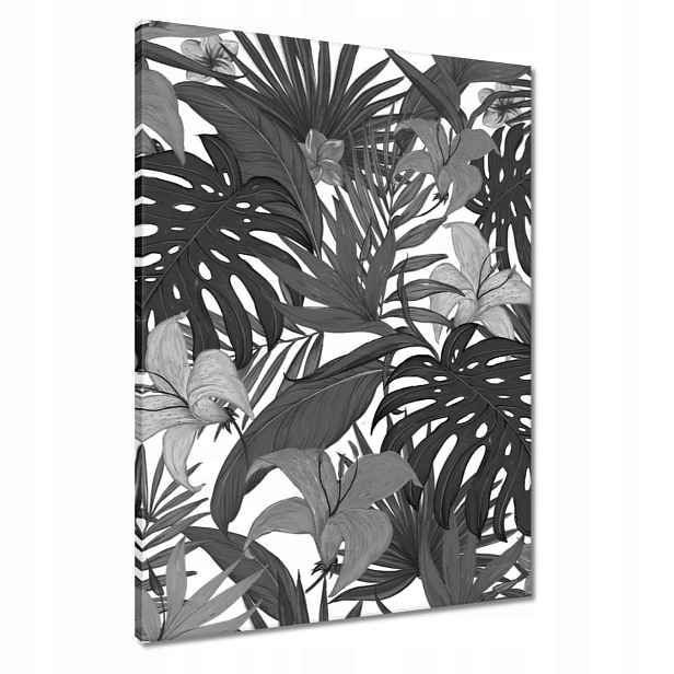 Obrazy 60x80 Černobílá monstera