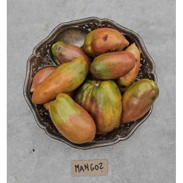 Culina Botanica Rajče Mango 