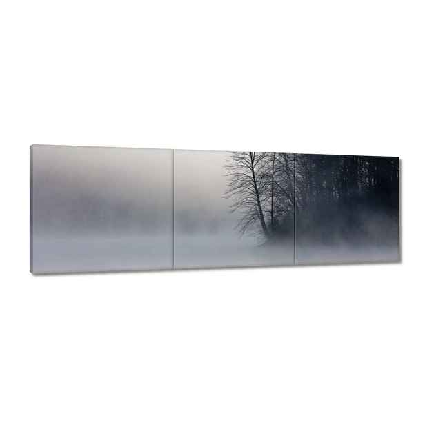 Obrazy 120x40 Mlžný les Zima