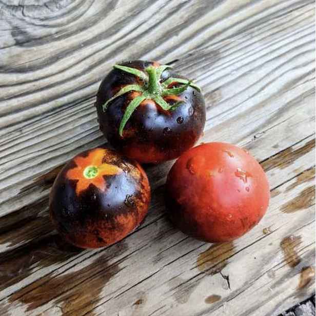 Culina Botanica Rajče Alki Blue Blood 