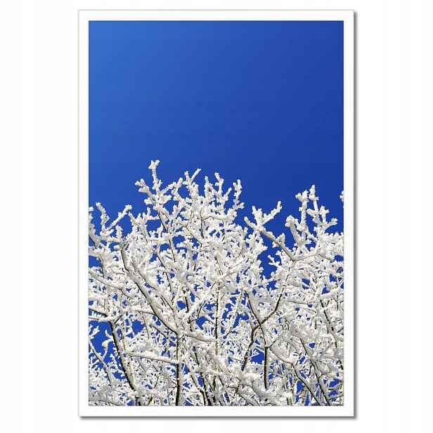 Plakáty v rámu 40x60 Zimní strom Mráz Sníh