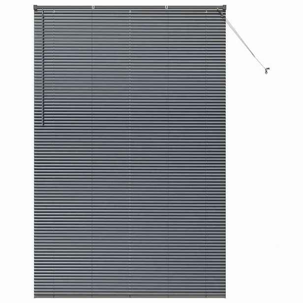 vidaXL Venet školní žaluzie Tmavě šedá 220 x 145 cm 25 mm Hliník