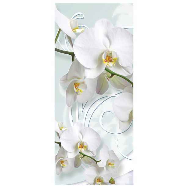 Samolepka Tapeta Bílé Orchideje Květiny 91x211 Sofistikovaný dekor
