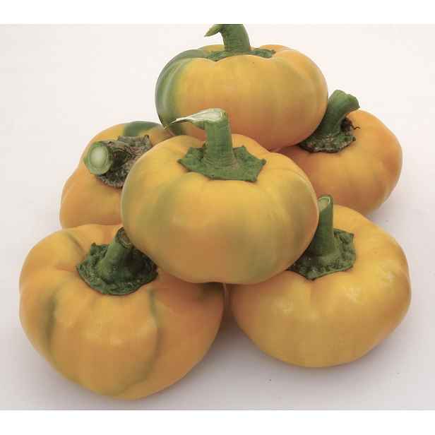Culina Botanica Paprika Topeppo yellow 