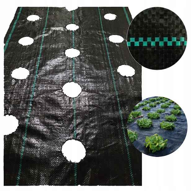 Agrotextilie s otvory pro sazenice 3 řady Velikost 110 cm x 10 m 90 g/m2
