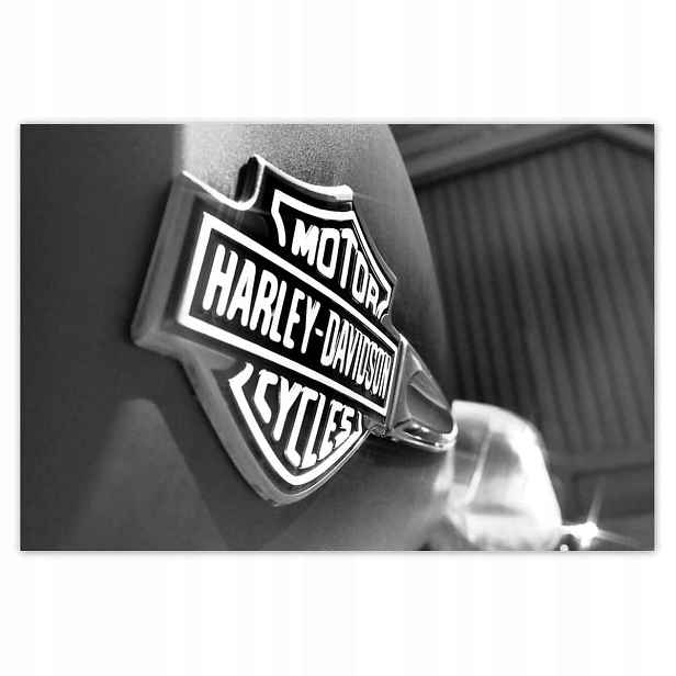Fototapety 104x70 Logo Harley Davidson