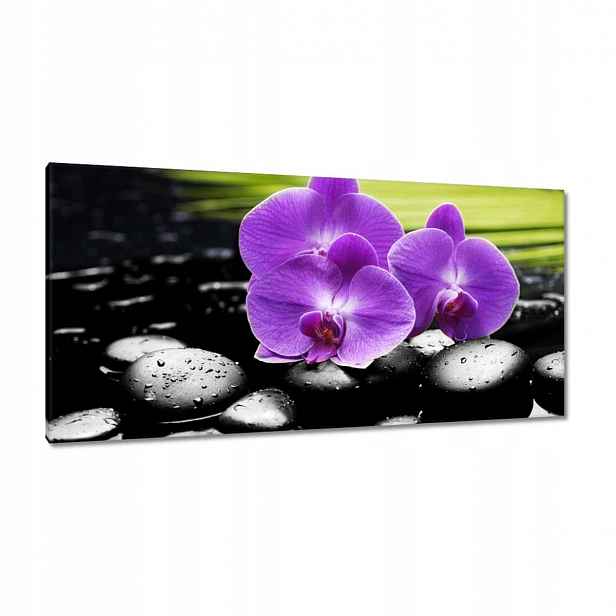 Obrazy 115x55 Fialové orchideje