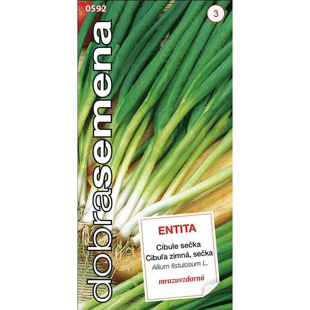 Culina Botanica Cibule zimní "Entita"