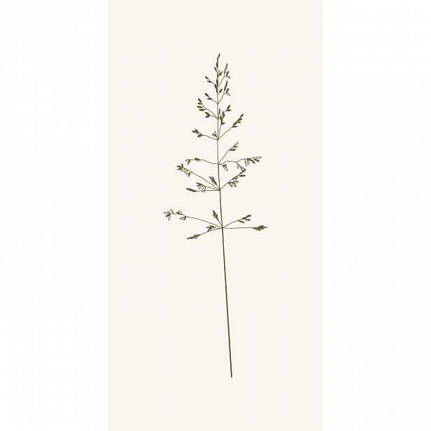 IB Laursen Ubrousky AUTUMN GRASS, 16 ks
