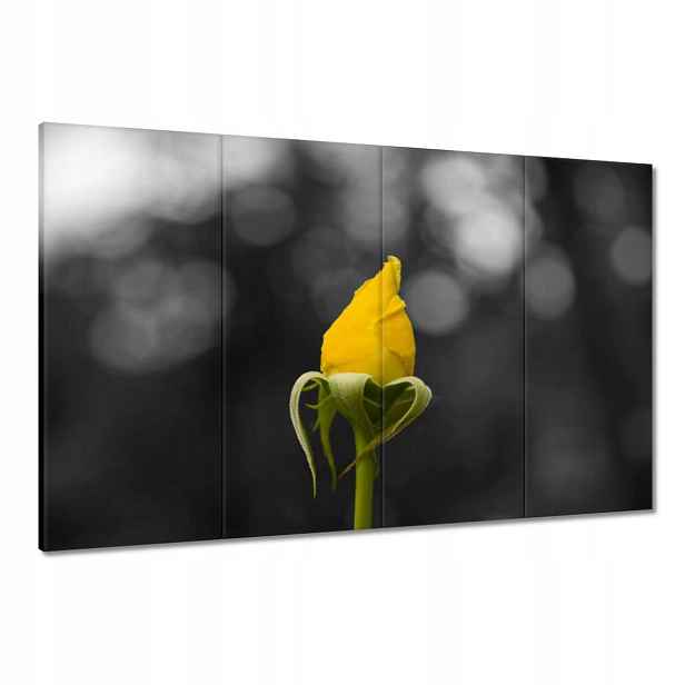Obrazy 120x80 Žlutá růžička