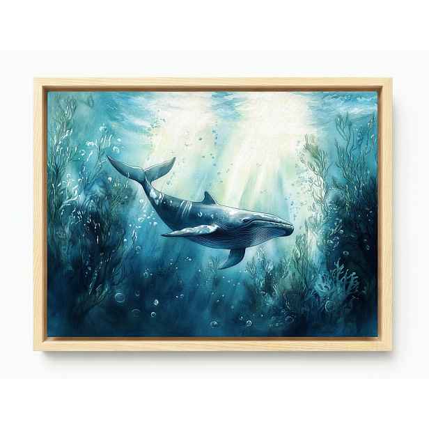Obraz Rám Americký Box Příroda Voda Oceán Velryba Ploutve Modré 80x60