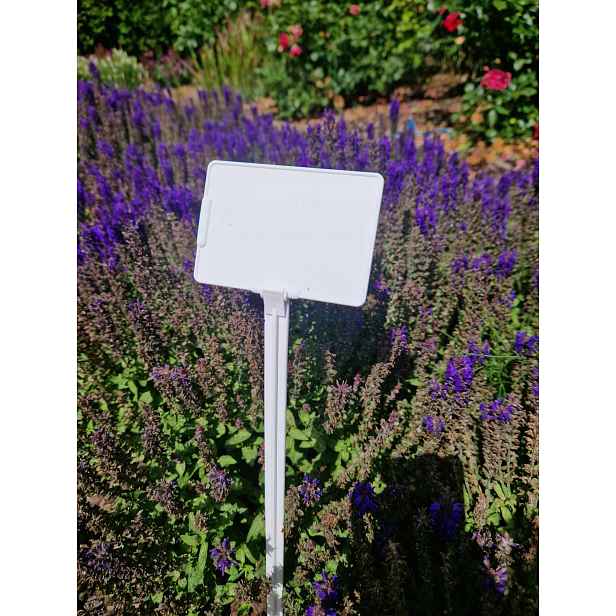 Tabulky Štítků Pro Popis Rostlin 100x70x465 MM 100 Ks Pl Výrobce