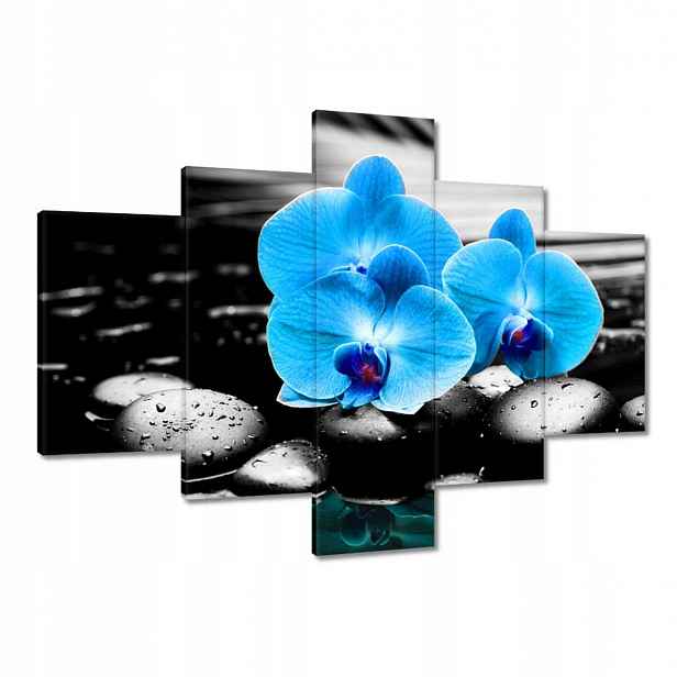 Obrazy 100x70 Tyrkysový orchidej Květina