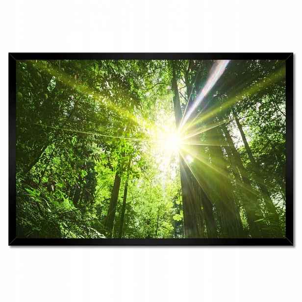 Plakáty v rámu 60x40 Kouzelný les Krajina