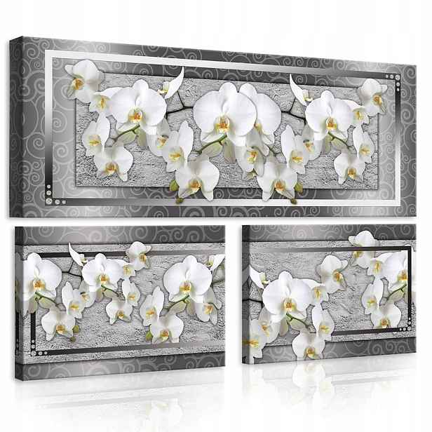 Obraz 80x55 Bílé Orchideje triptych květiny elegance dekorace stěn umění