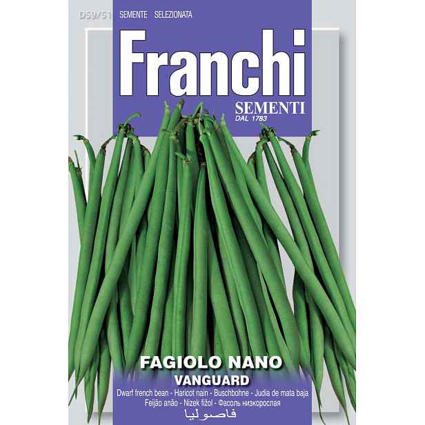 Culina Botanica Fazole keříčková VANGUARD
