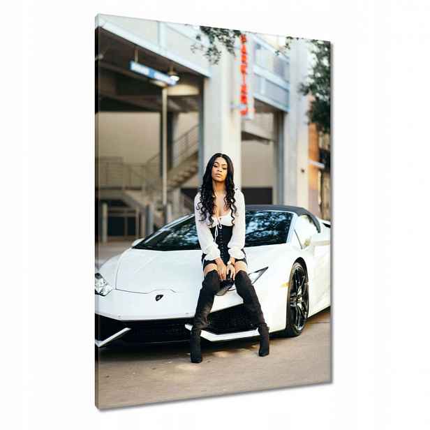Obrazy 70x100 Laska a bílé auto Fura