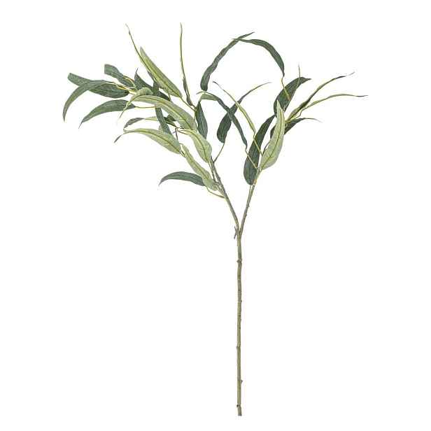 Umělý eukalyptus (výška 85 cm) Eucalyptus – Bloomingville