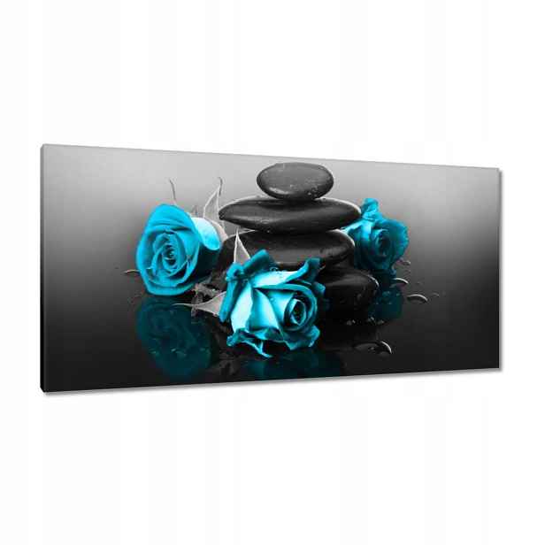 Obrazy 115x55 Tyrkysová růže Spa