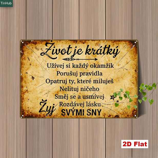TEMU 2D plochá 1ks vintage česká inspirativní kovová cedule, 7.87X11.81 palců železná cedule, s citáty o životním motto, vintage industriální styl
