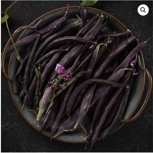 Culina Botanica Fazole pnoucí A COSSE VIOLETTA