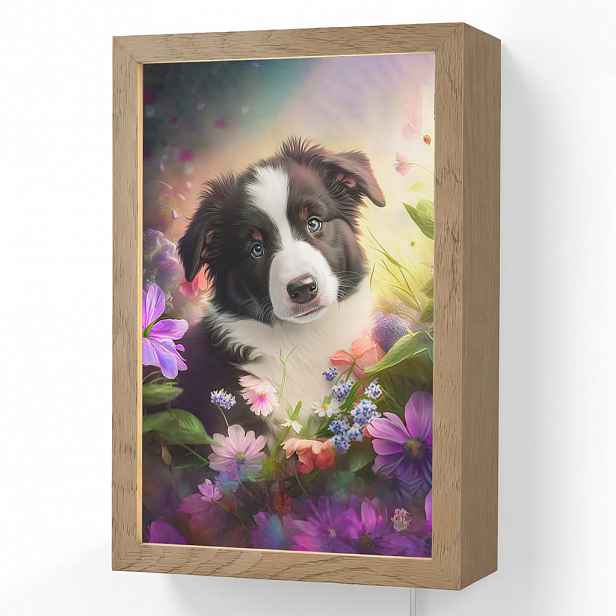 OnlyWow NÁSTĚNNÁ LAMPA Štěně - Slunce - Květiny - Příroda - Border kolie - Pes 20x30 cm