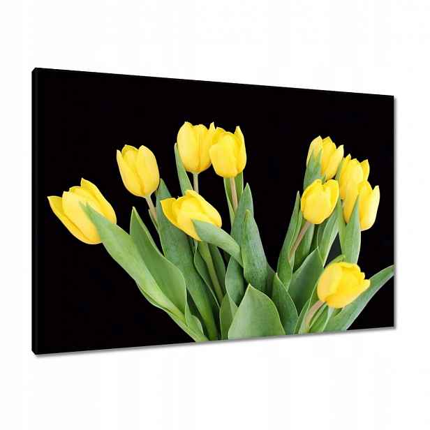 Obrazy 100x70 Žluté tulipány