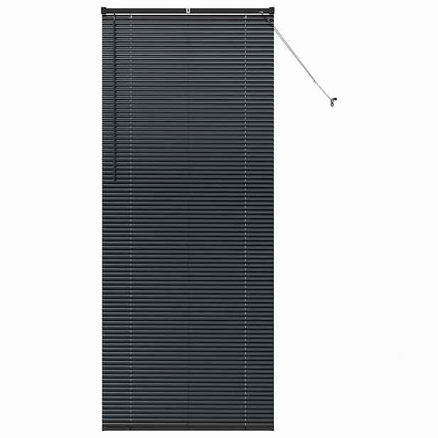 vidaXL Venet školní žaluzie Černá 220 x 95 cm 25 mm Hliník