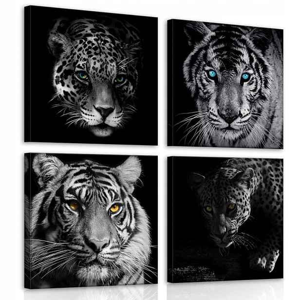 Obraz Na Plátně Canvas 50x50 Zvířata Tygr Gepard Pantera Kočka B&w
