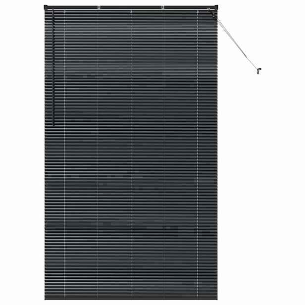 vidaXL Venet školní žaluzie Černá 220 x 125 cm 25 mm Hliník