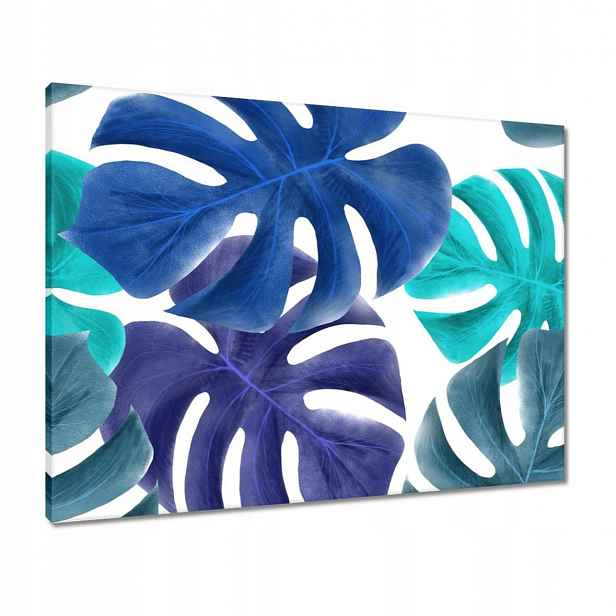 Obrazy 80x60 Monstera Listy Modrá