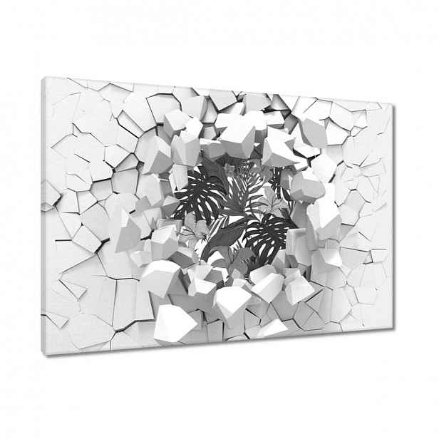 Obrazy 90x60 Černobílá monstera