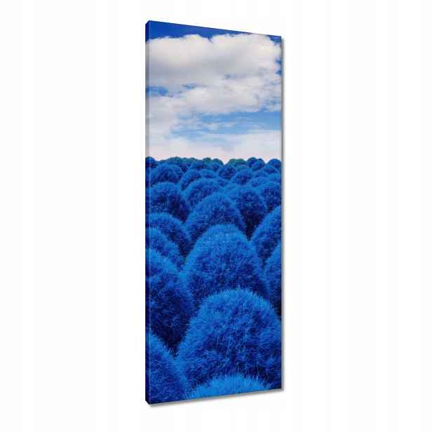 Obrazy 40x100 W klasické modré