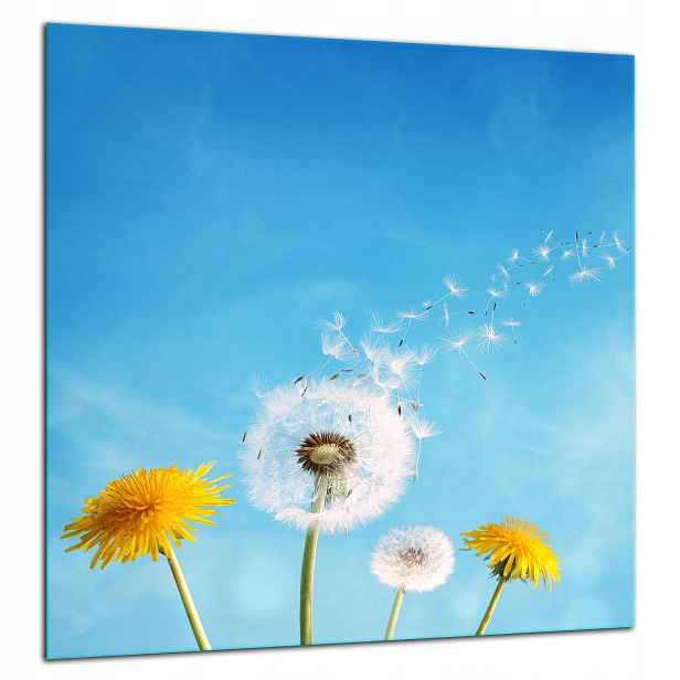 Skleněná Ochranná Deska Panel Lepidlo 60x65 Květiny
