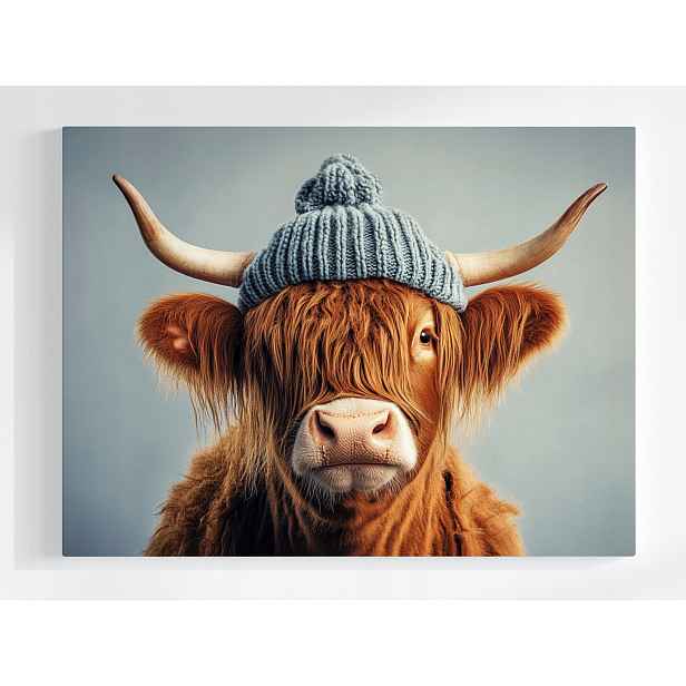 Plakát Skotská Kráva Highland Portrét Čepice Zima 100x75