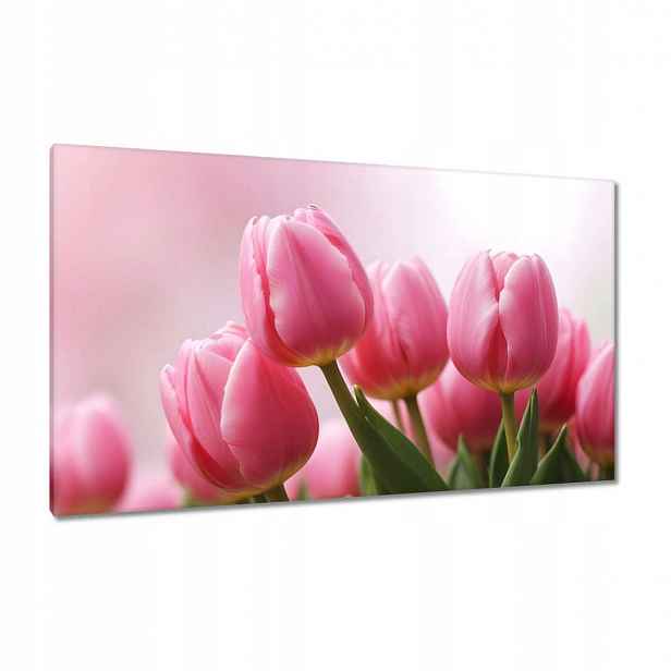 Obrazy 120x70 Růžové tulipány