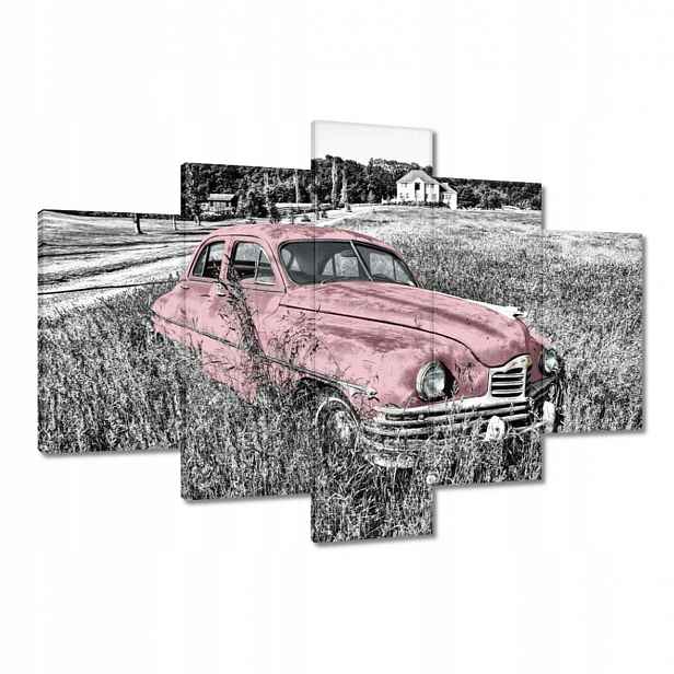 Obrazy 120x80 Růžová babička Historická
