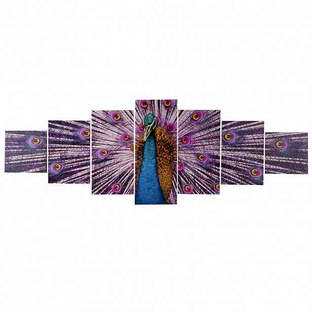 MCW PLÁTNĚNÝ OBRAZ PÁV 7 DÍLŮ. Multicolor