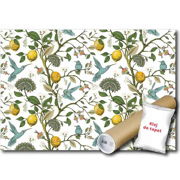 Vinylová Fototapeta Vzor Pták Citron 152x104