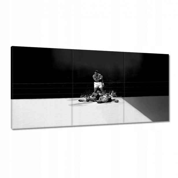 Obrazy 120x60 Muhammad Ali Boxer Boj