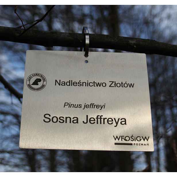 Zahradní štítek s přívěskem/značkou, nerezový, laserové gravírování (155x105