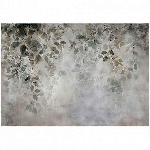 Wallarena FOTOTAPETA s listy visící šedá 350x250 cm
