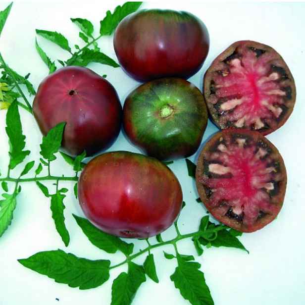 Culina Botanica Rajče Tschernij Prinz BIO