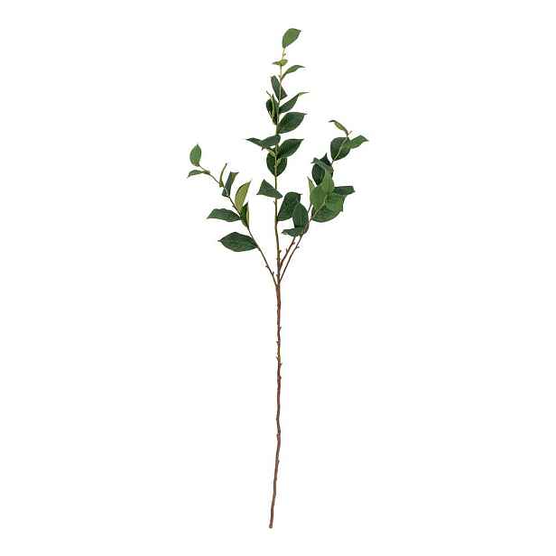 Umělý eukalyptus (výška 110 cm) Eucalyptus – Bloomingville