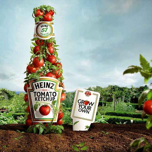 Culina Botanica Rajče Heinz 1370 kečupové